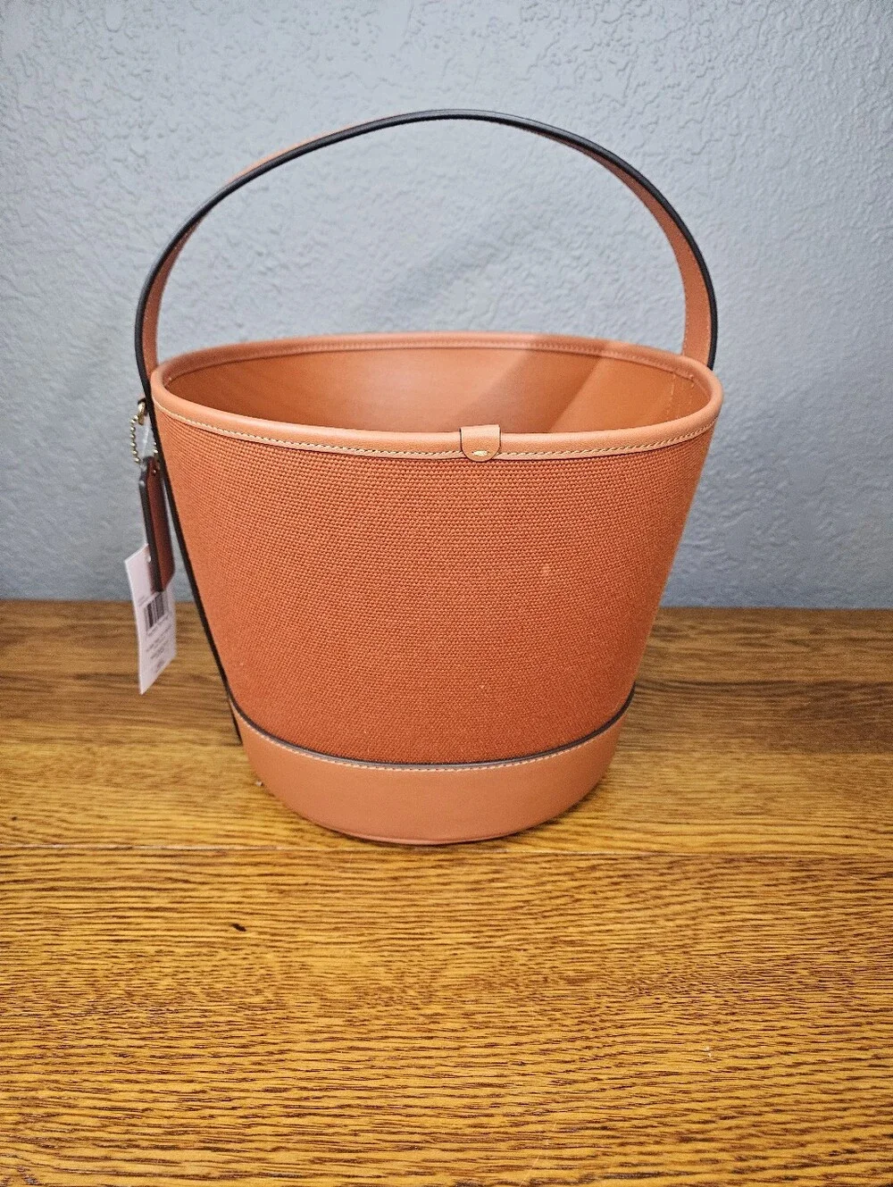 Coach Trick Or Treat Bucket With Halloween Pumpkin In Regenerative Cotton